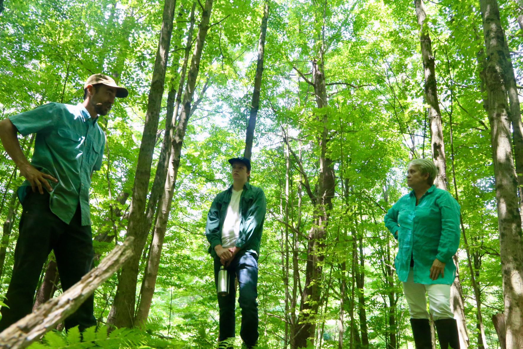 Cambridge Community Forest